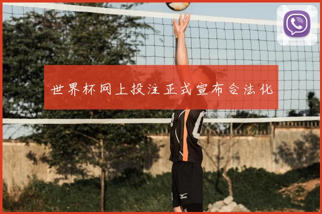 世界杯网上投注正式宣布合法化