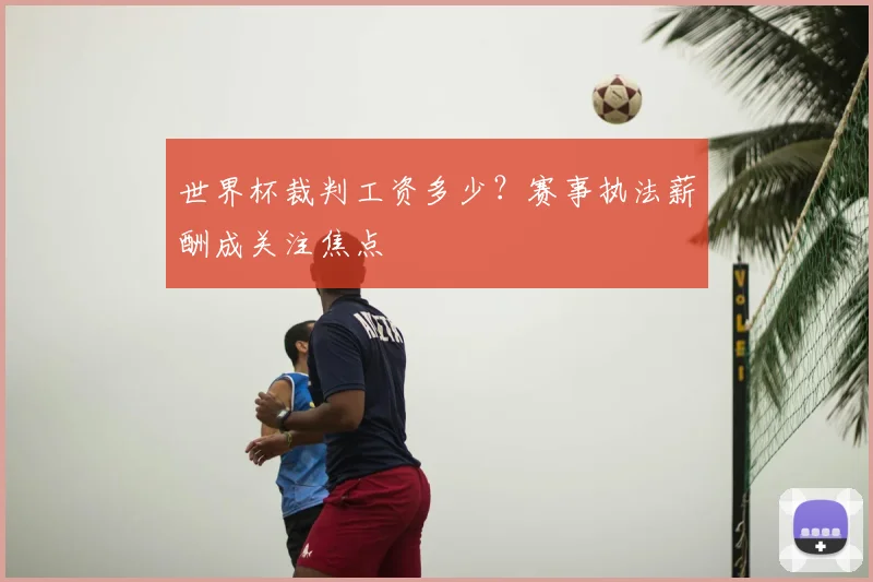 世界杯裁判工资多少?赛事执法薪酬成关注焦点
