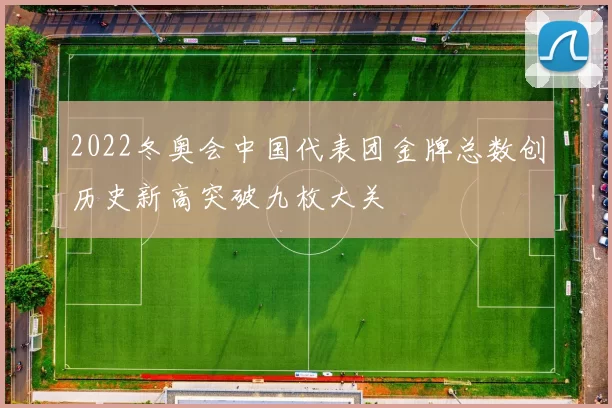 2022冬奥会中国代表团金牌总数创历史新高突破九枚大关